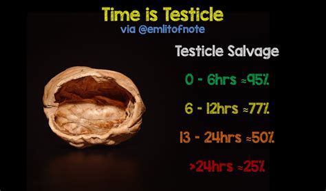 testicular torsion survival rate